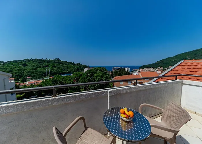 Apartment Knezevic