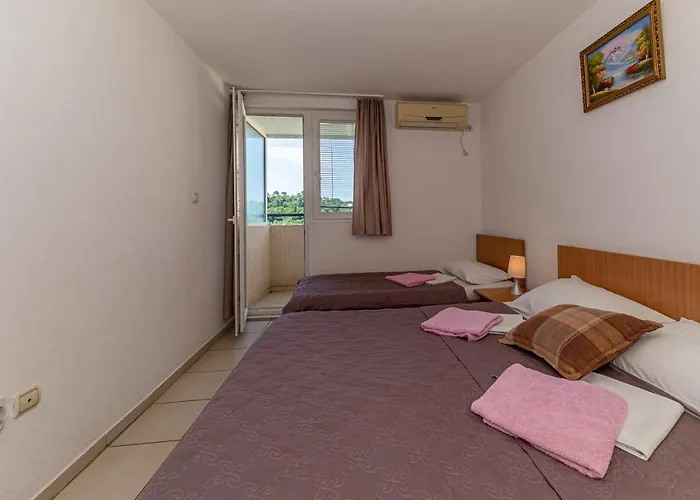 Apartment Knezevic