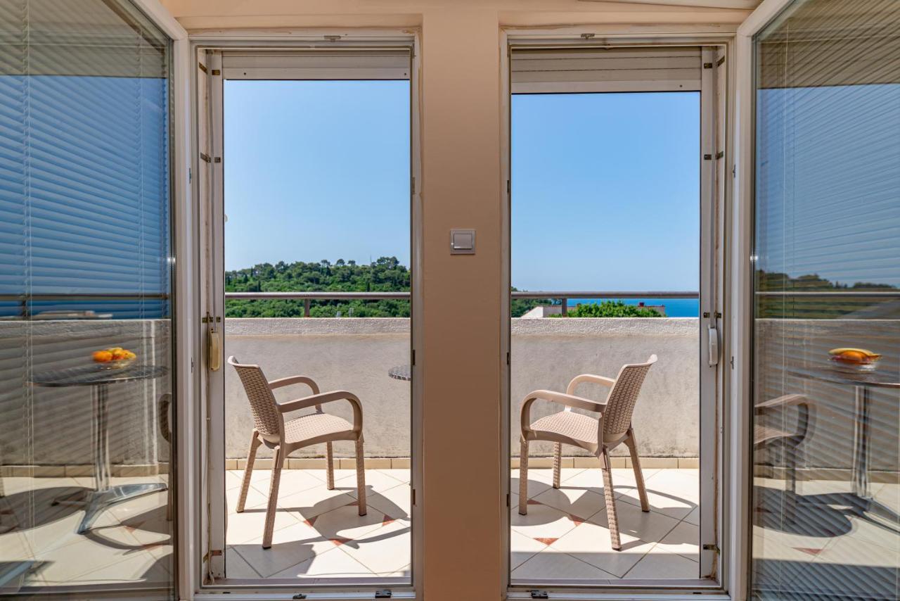 Apartment Knezevic